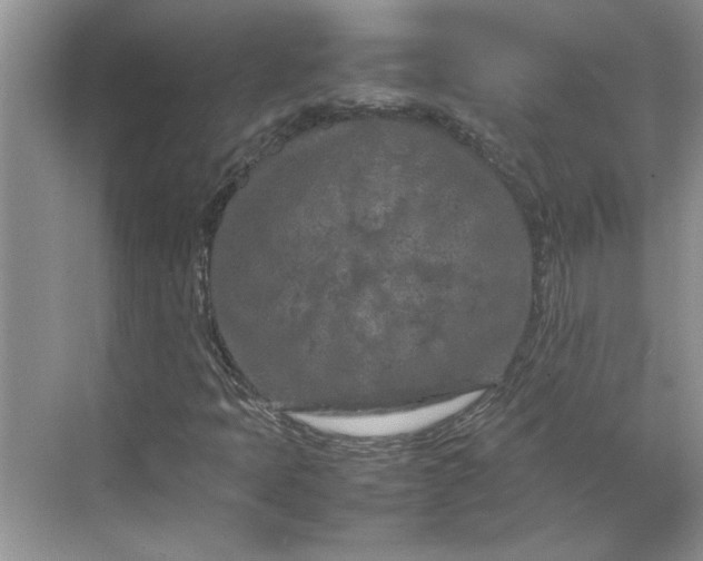 X0000070191397200606091520