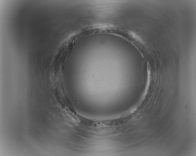 X0000070191398200606091520