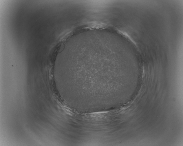 X0000070191399200606091520