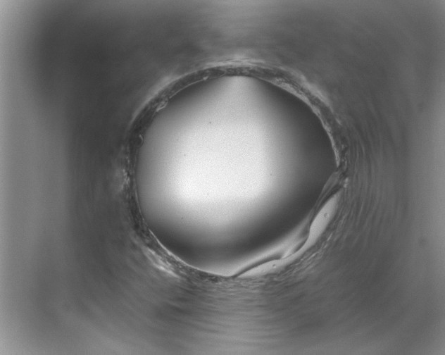 X0000070191400200606091520