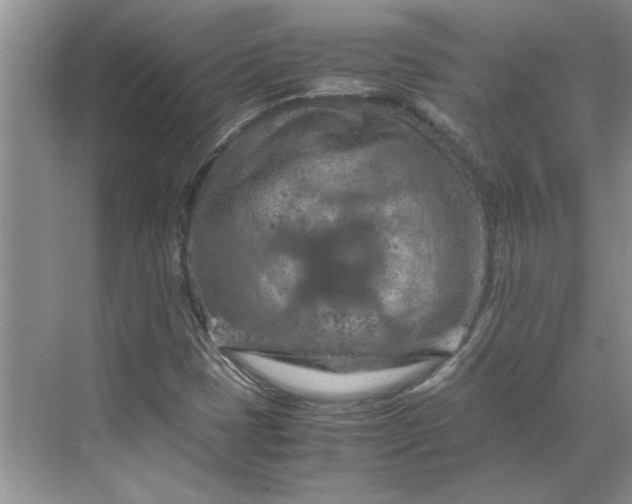 X0000070191401200606091520