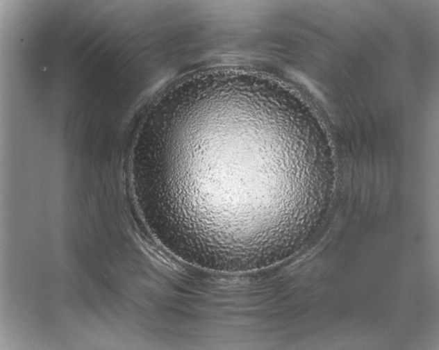 X0000070191403200606091520