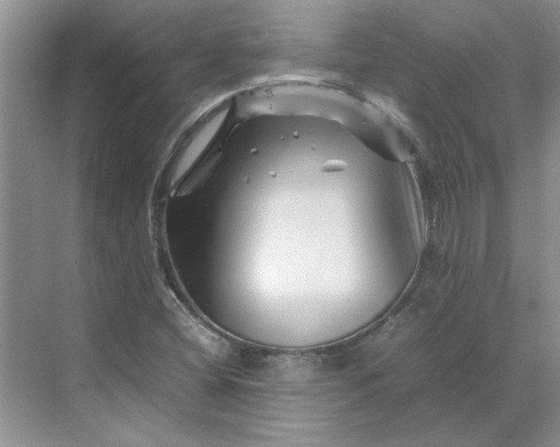 X0000070191404200606091520