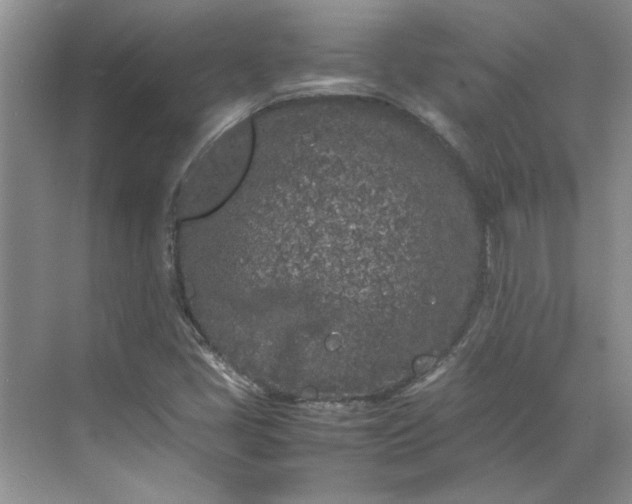 X0000070191405200606091520