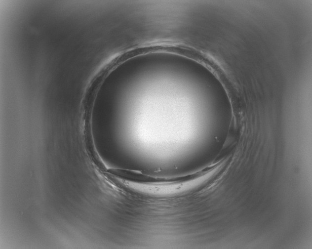 X0000070191406200606091520