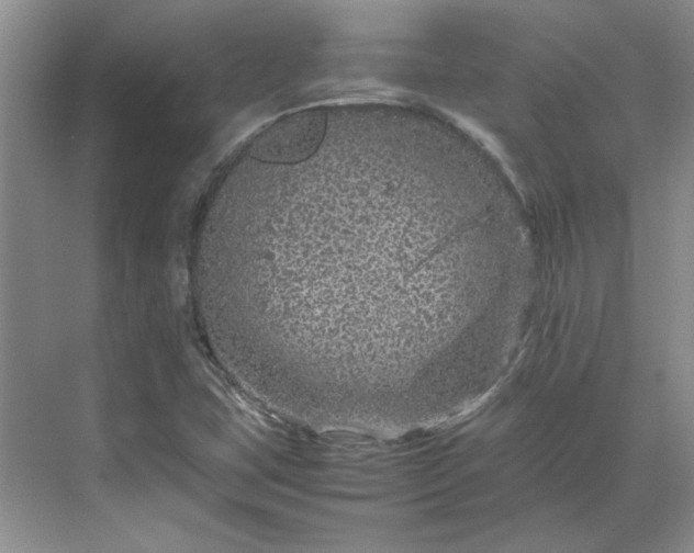 X0000070191407200606091520