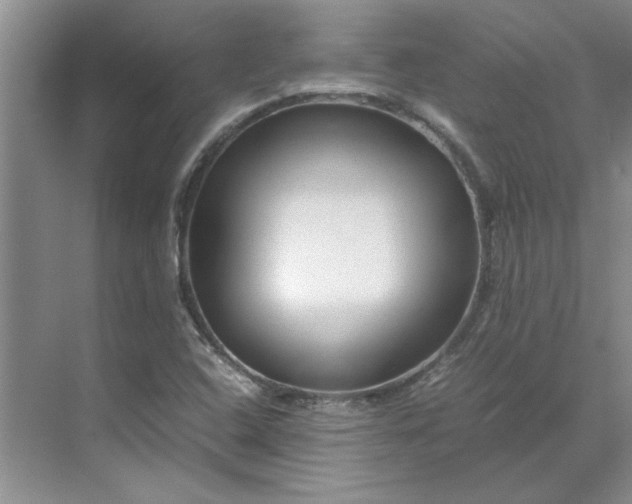 X0000070191408200606091520