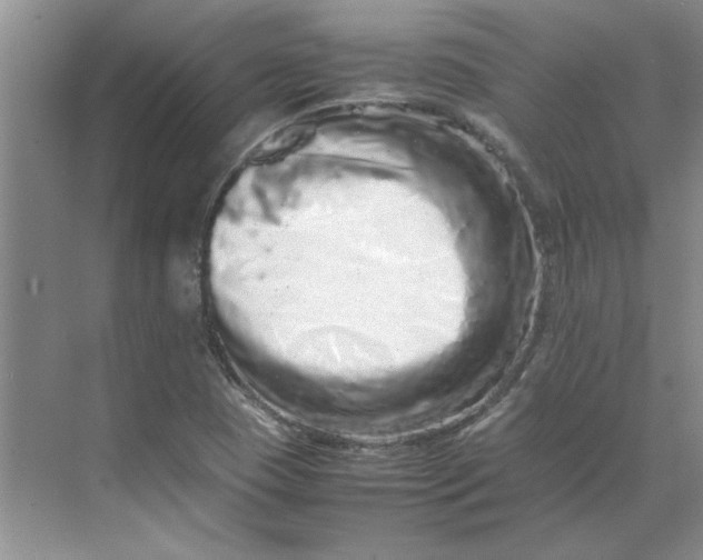 X0000070191409200606091520