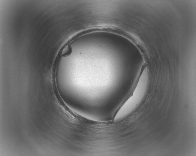 X0000070191412200606091521