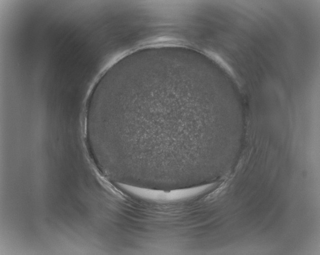 X0000070191413200606091521