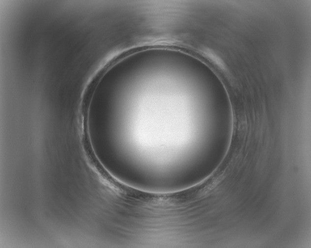 X0000070191414200606091521