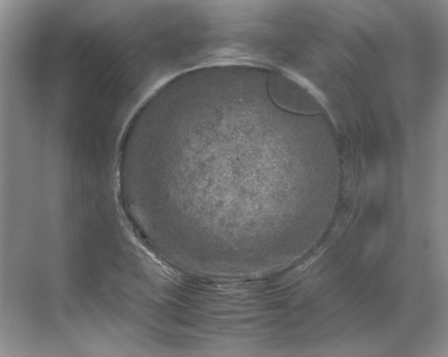 X0000070191415200606091521