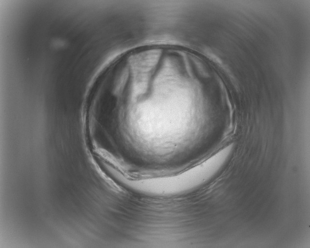 X0000070191416200606091521