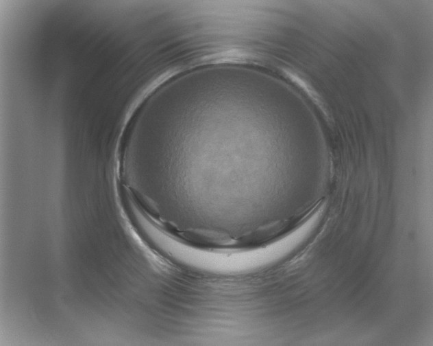 X0000070191418200606091521