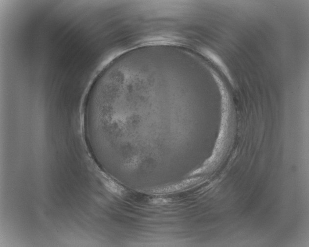 X0000070191419200606091521