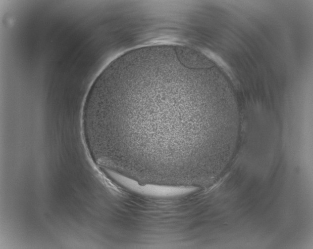 X0000070191423200606091521