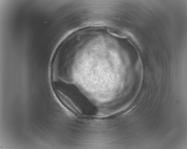 X0000070191424200606091521