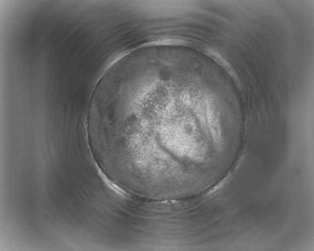 X0000070191425200606091521