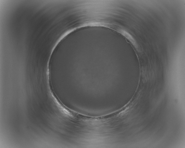 X0000070191428200606091521