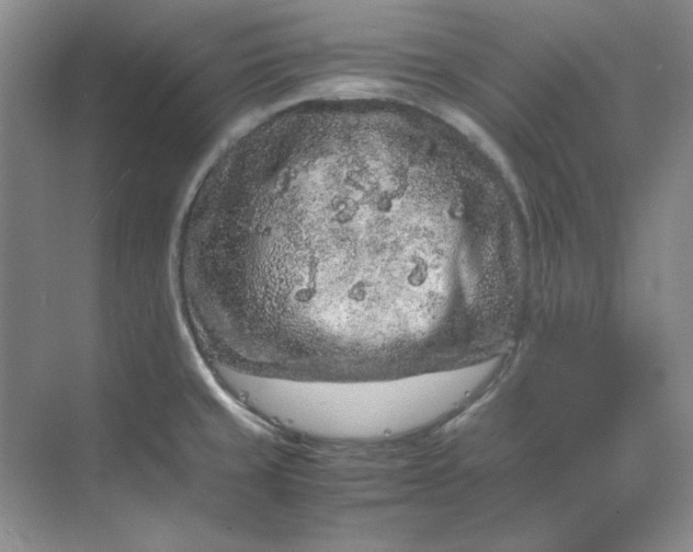 X0000070191429200606091521