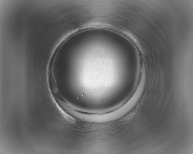 X0000070191430200606091521