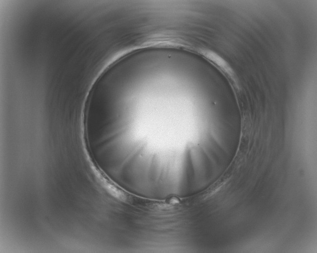 X0000070191431200606091521