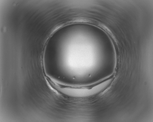 X0000070191433200606091521