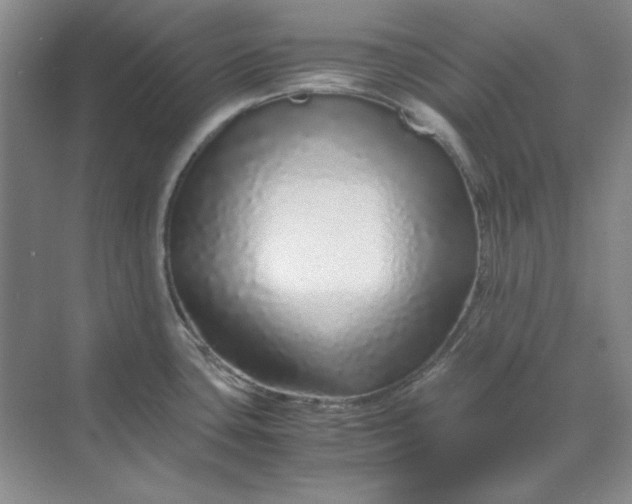 X0000070191435200606091521