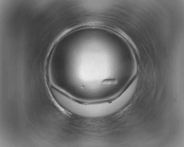 X0000070191437200606091521