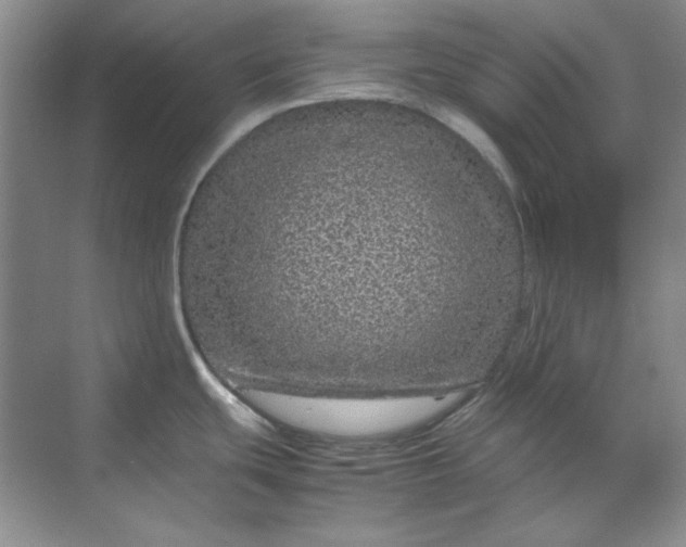 X0000070191439200606091521