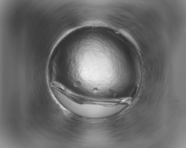 X0000070191440200606091521