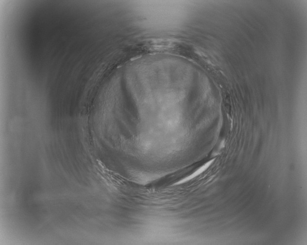 X0000070191441200606091520