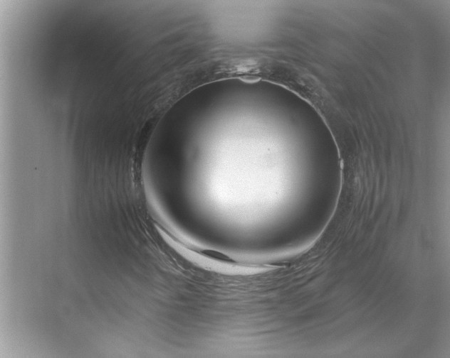 X0000070191442200606091520