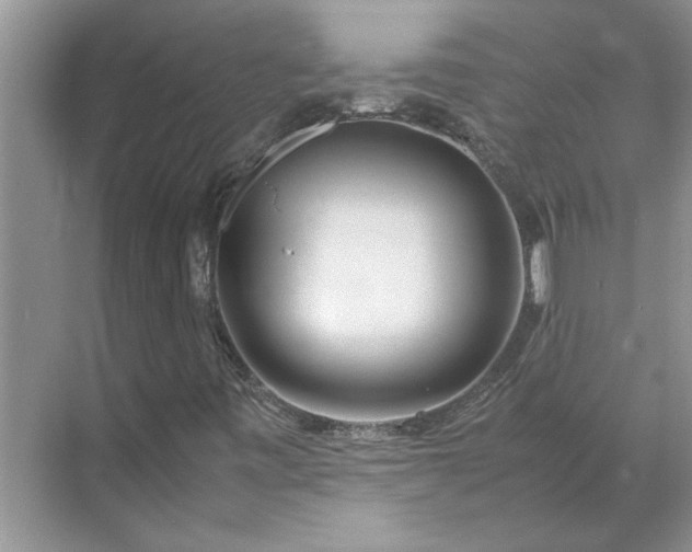 X0000070191443200606091520