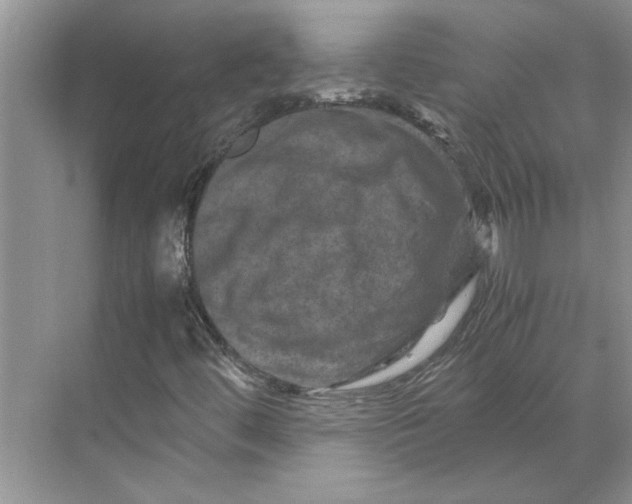 X0000070191444200606091520