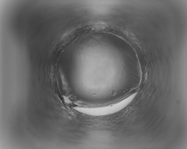 X0000070191445200606091520