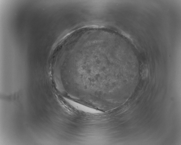 X0000070191448200606091520