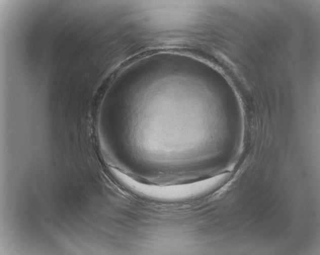 X0000070191449200606091520