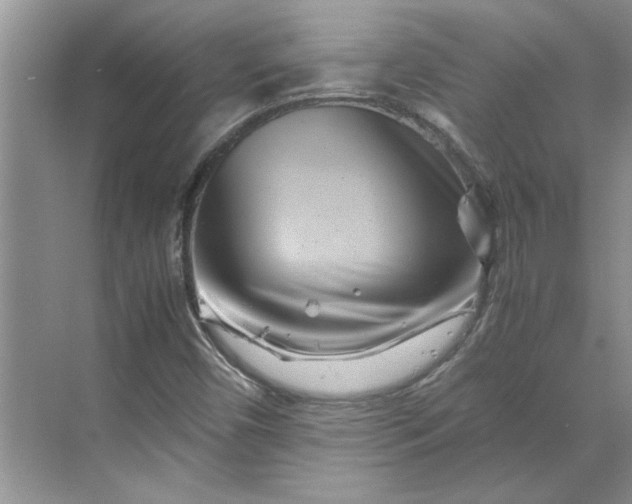 X0000070191450200606091520