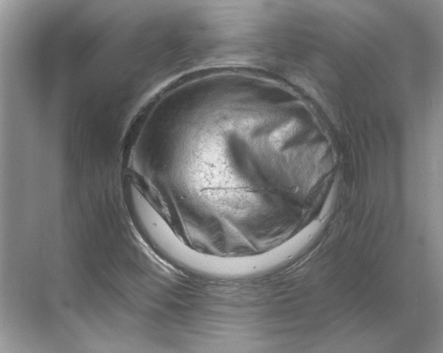 X0000070191452200606091520