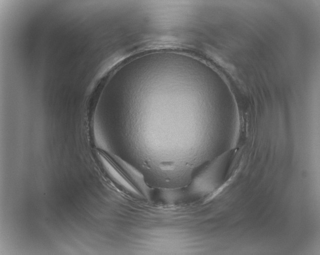 X0000070191453200606091520