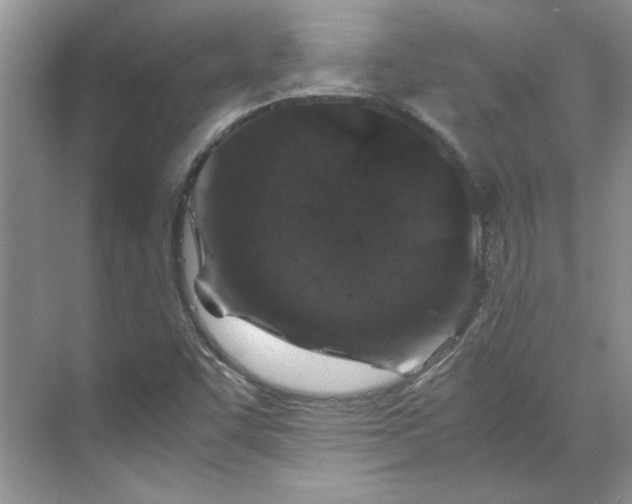 X0000070191455200606091520