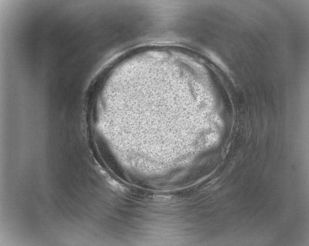 X0000070191456200606091520