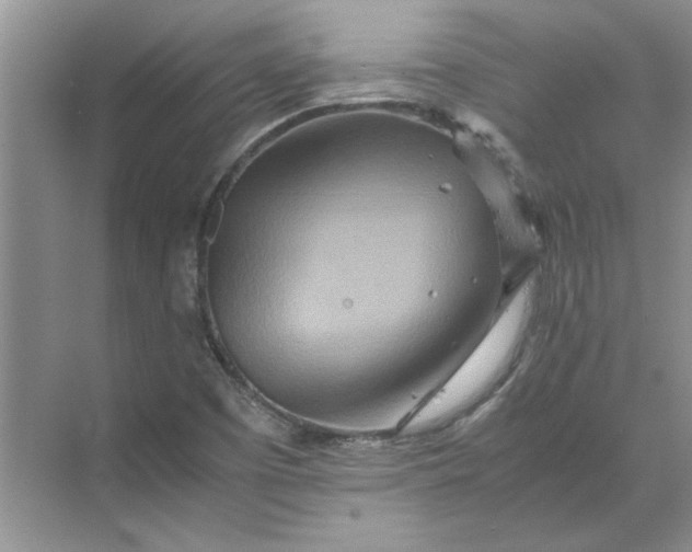 X0000070191457200606091520