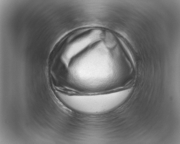 X0000070191460200606091520