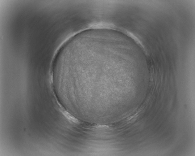 X0000070191462200606091520