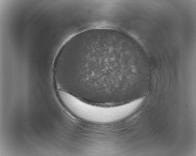 X0000070191463200606091520