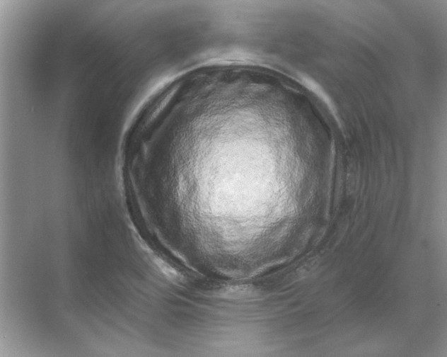 X0000070191464200606091520