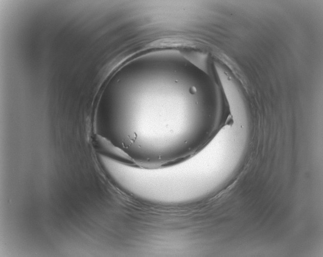 X0000070191465200606091520