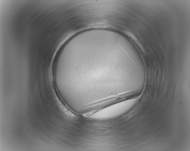 X0000070191466200606091520